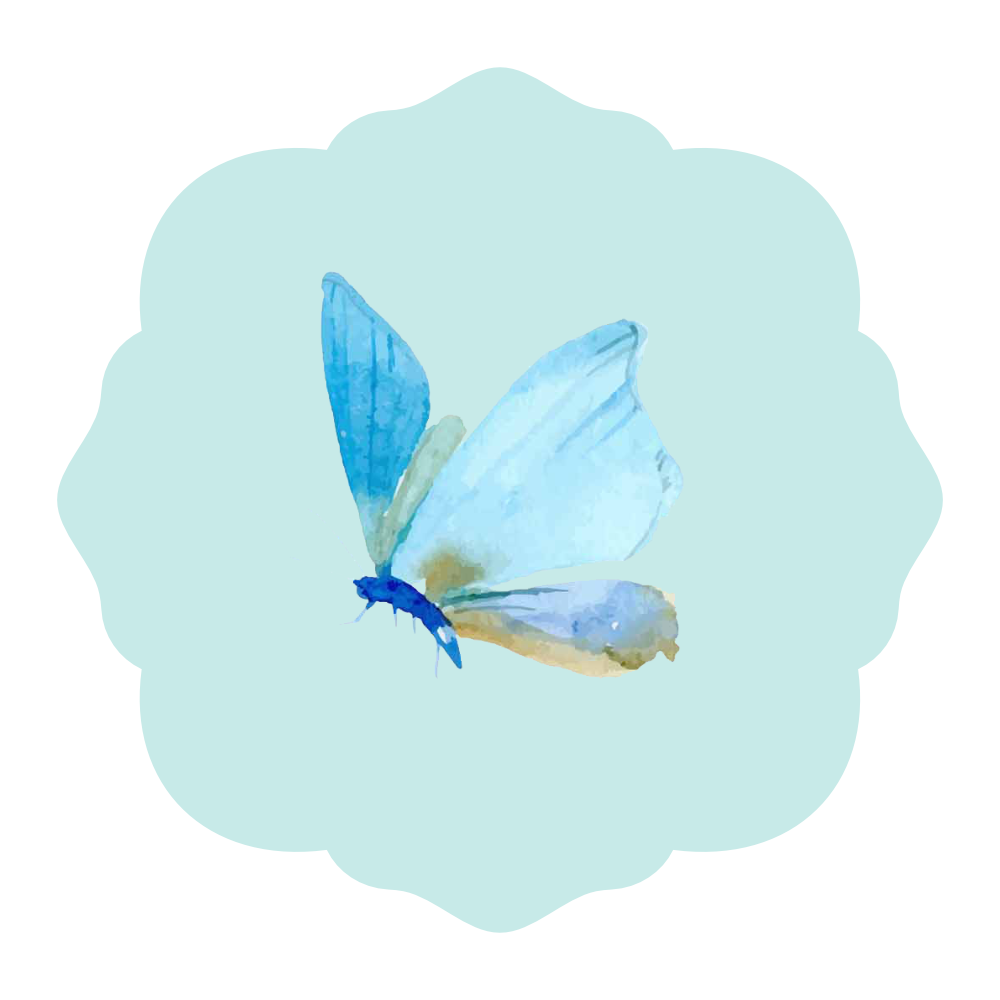 Light blue butterfly sticker